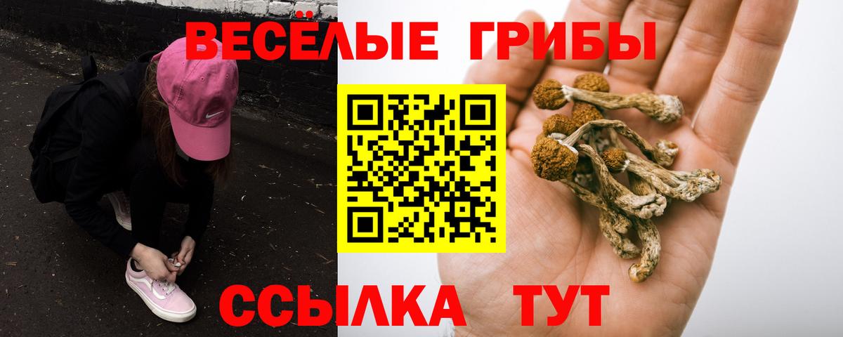 Галлюциногенные грибы Magic Shrooms  Вход с VPN  Галлюциногенные грибы Psilocybine cubensis  Петрозаводск 